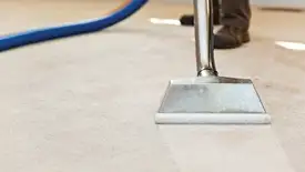 Carpet cleaning wand head gliding over a light carpet during hot-water extraction, Houston, TX.