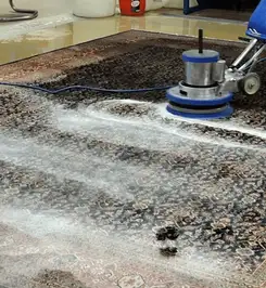 Professional rug cleaning with a rotary floor machine and shampoo foam, deep-cleaning an area rug Houston, TX.